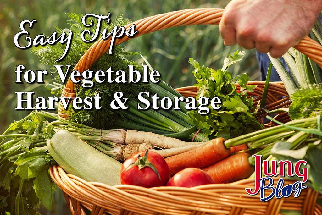 Easy Tips For Vegetable Harvest & Storage 