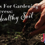 Tips For Gardening Success Healthy Soil