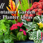 Fall Container Garden & Planter Ideas