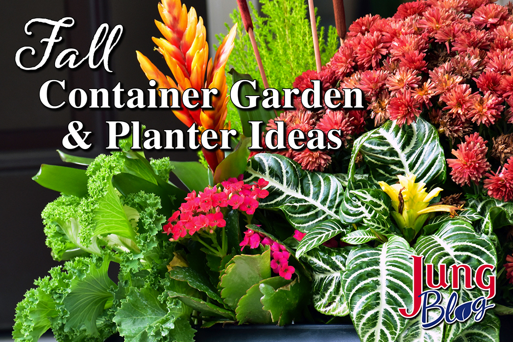 Fall Container Garden & Planter Ideas