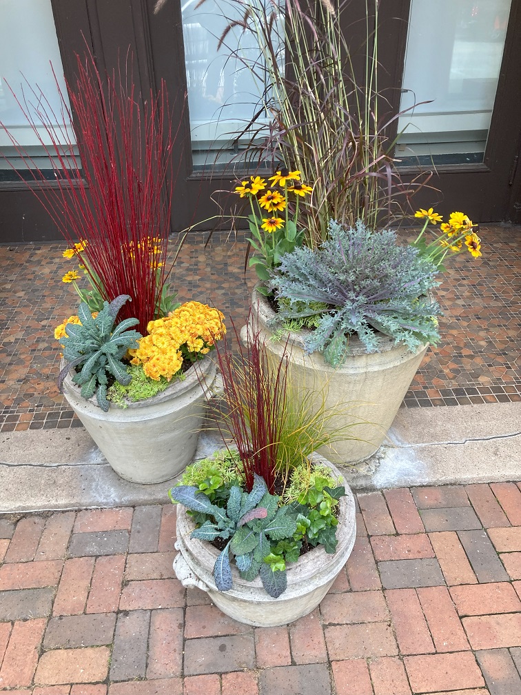Mixed Fall Container Patio Display
