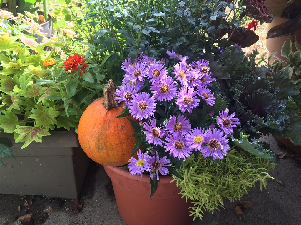 Small Patio Fall Container Display
