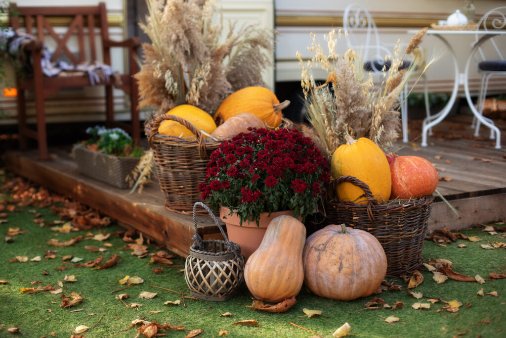 Decorated entrance to house with pumpkins in basket and chrysanthemum. Front Porch decorated for Halloween, Thanksgiving, fall season. Exterior terrace with garden furniture. Pumpkins on steps house.