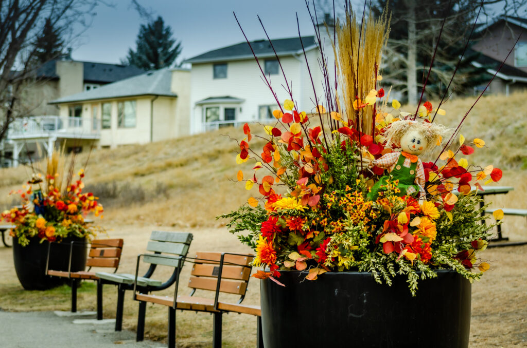 Dry flower fall arrangement in large pots with a scarecrow doll in the center next to park benches