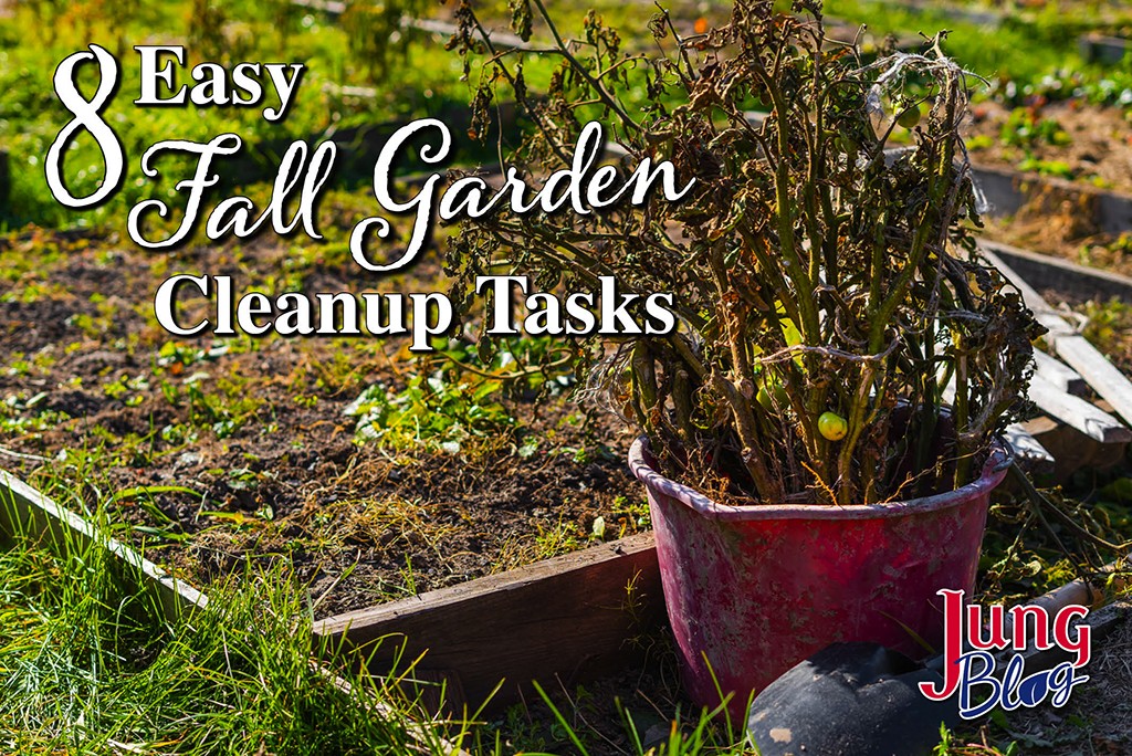 8 Easy Fall Garden Cleanup Tasks