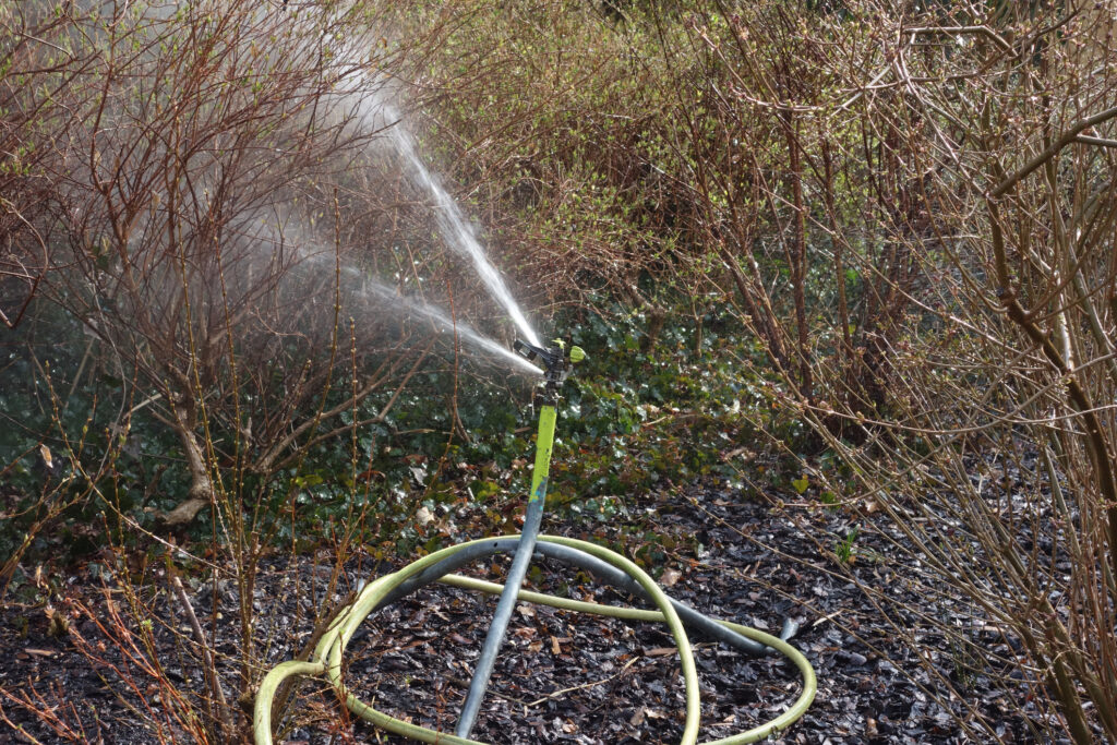 A sprinkler watering some bushes in the fall