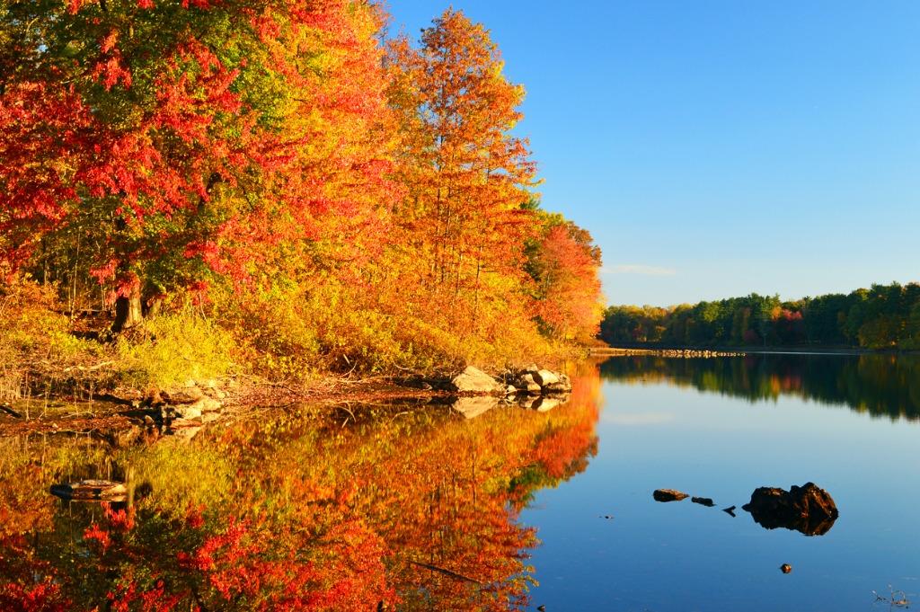 Autumn Calm In New England