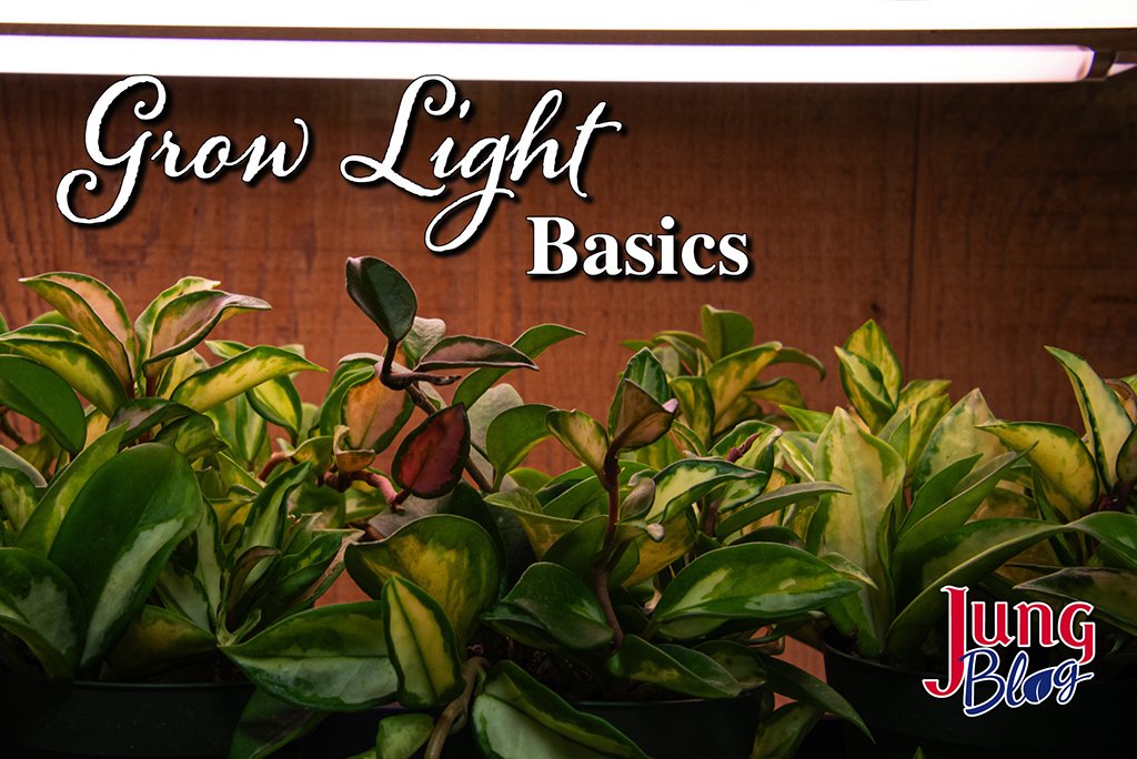 Grow Light Basics  Jung Seed Gardening Blog