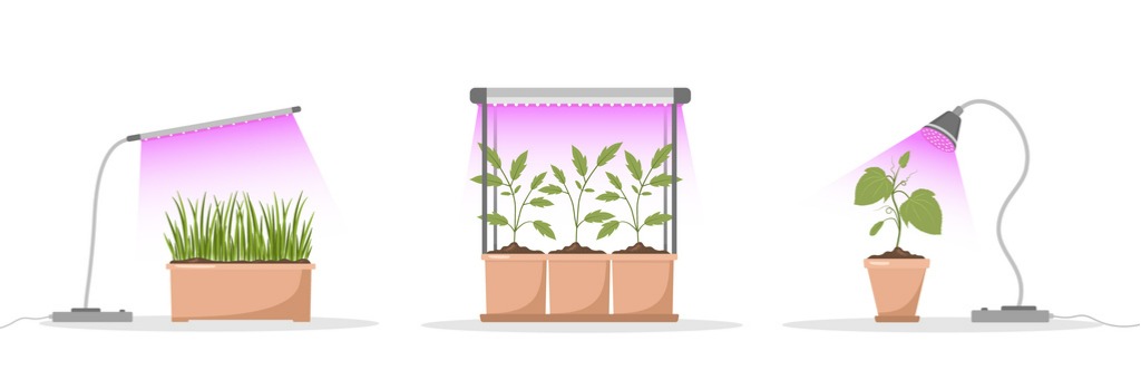 Grow Light Basics  Jung Seed Gardening Blog