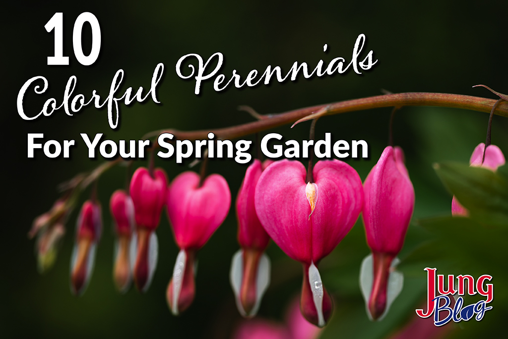 10 Colorful Perennials For Your Spring Garden