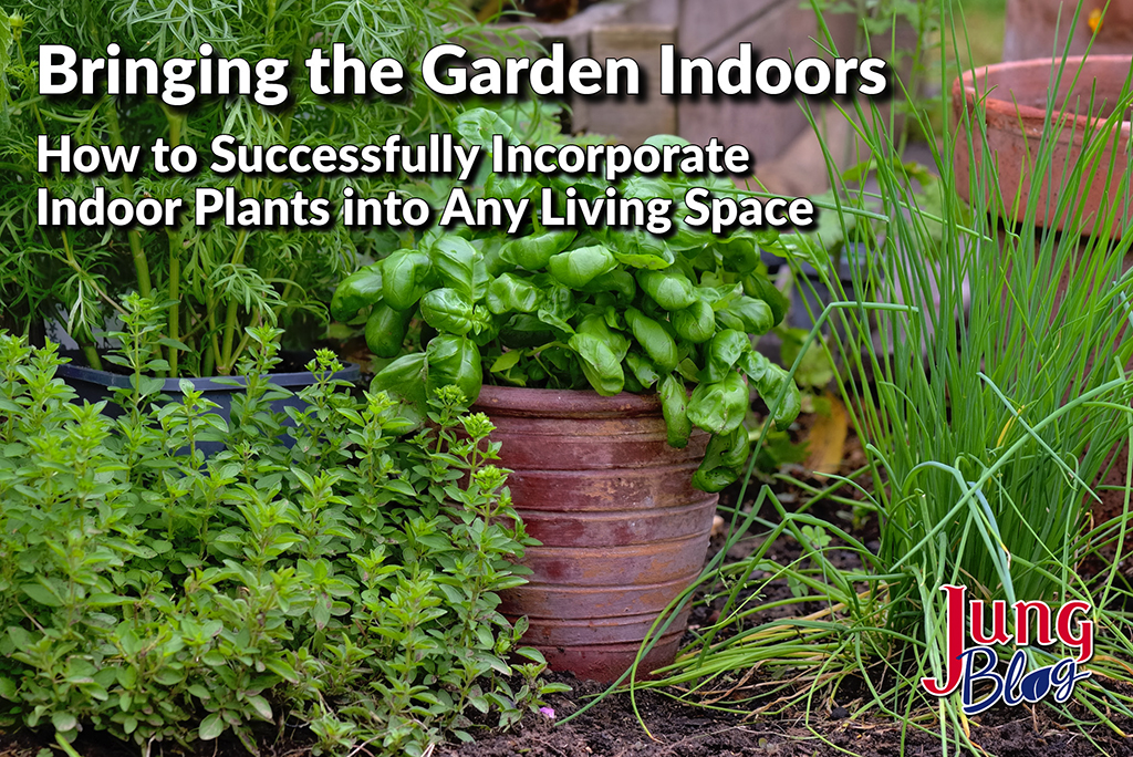 Bringing the Garden Indoors — How to Successfully Incorporate Indoor Plants into Any Living Space
