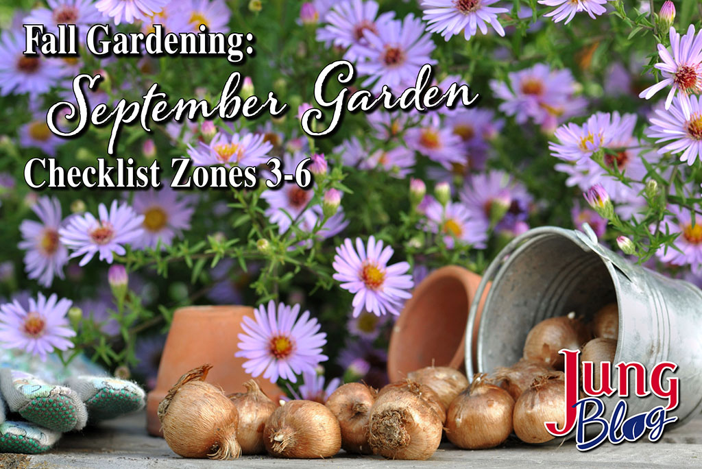 Fall Gardening September Garden List for Zone 3 - 6