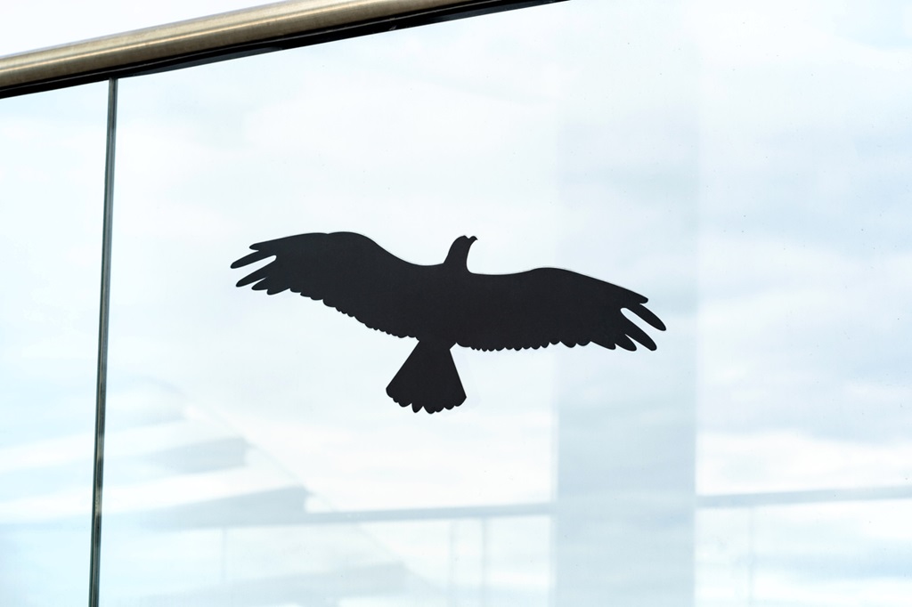 Anti-collision black bird shape silhouette glass window sticker