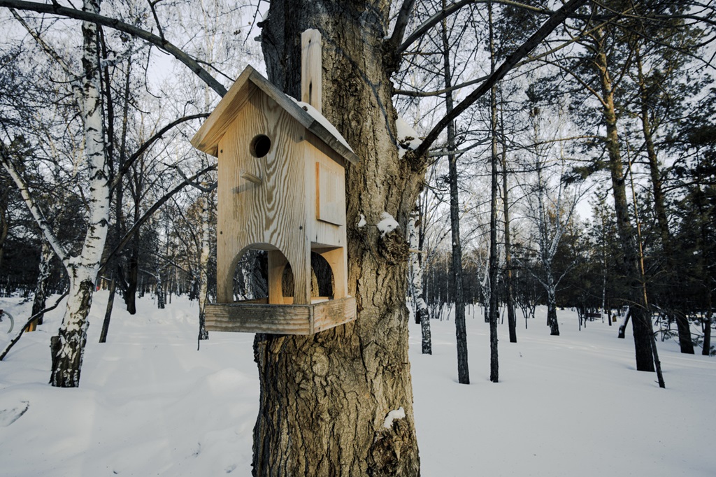Bird birdhouse on tree in winter public park