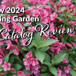 New 2024 Spring Garden Catalog Review