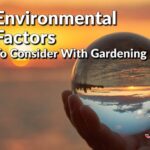 7 Environmental Factors To Consider With Gardening