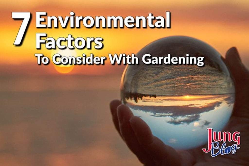 7 Environmental Factors To Consider With Gardening