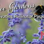 Bee Gardens Cultivating Pollinator Paradises