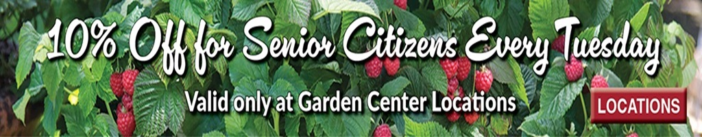 10% Off for Senior Citizens Every Tuesday