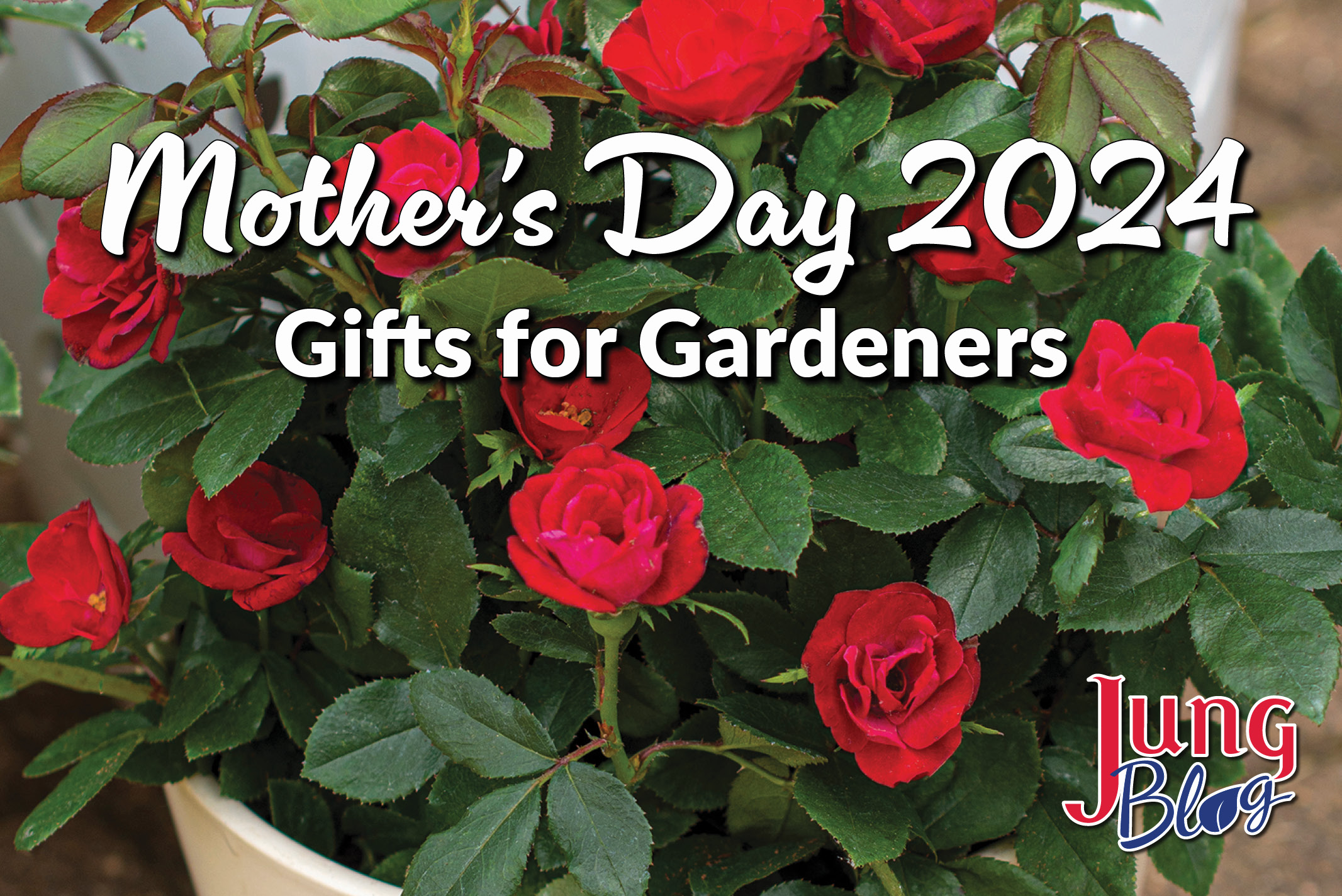 Mother’s Day 2024: Gifts For Gardeners