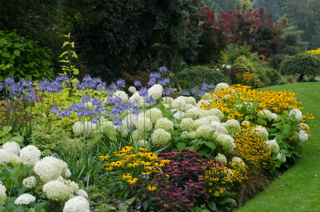 Perennial border garden