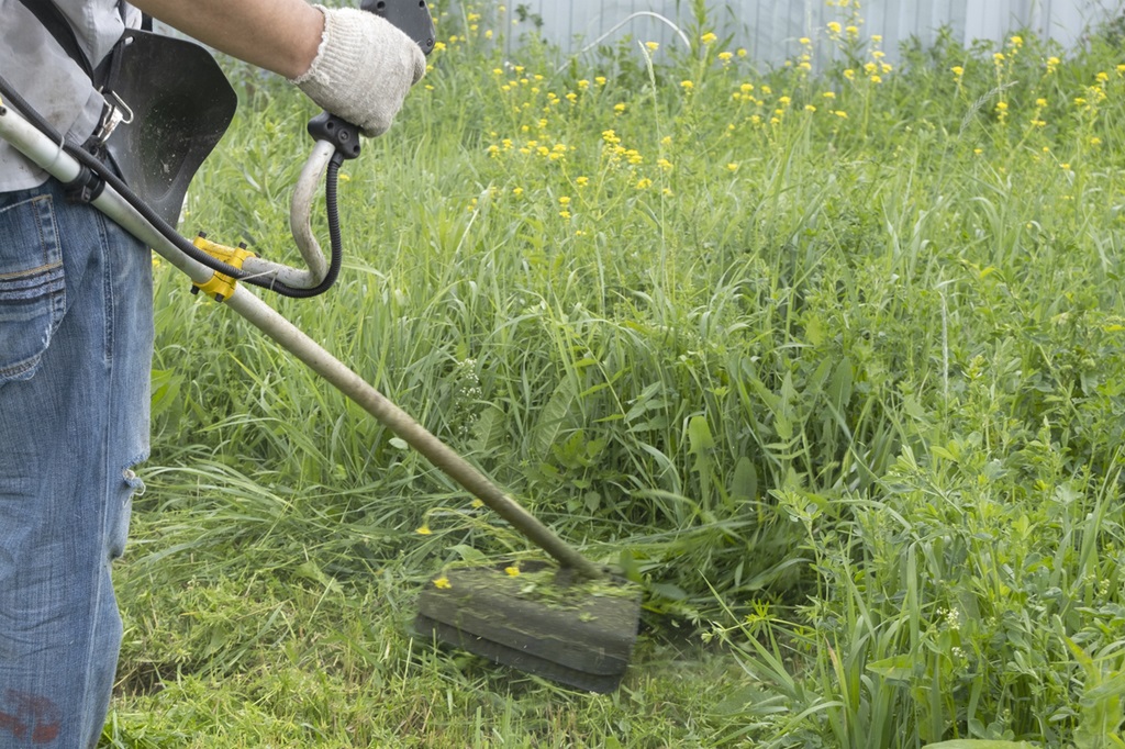 A man mows the thick tall grass with a gasoline trimmer