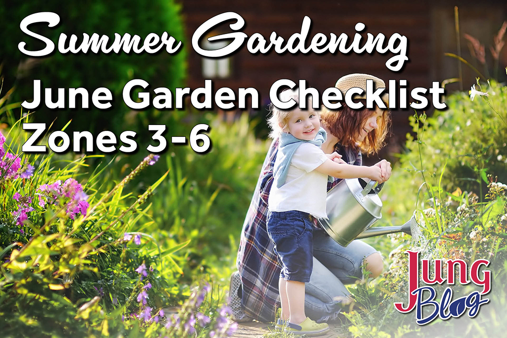 Summer Gardening: June Garden Checklist Zones 3-6