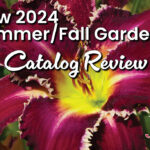 New 2024 summer fall garden catalog review