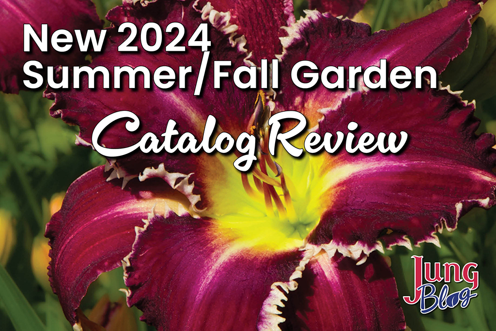 New 2024 Summer/Fall Garden Catalog Review
