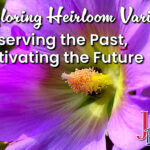 Exploring Heirloom Varieties, Preserving the Past, Cultivating the Future