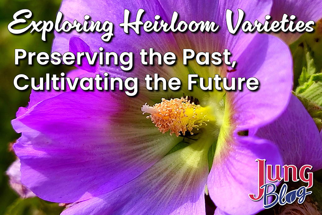 Exploring Heirloom Varieties: Preserving the Past, Cultivating the Future