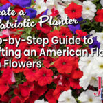 Create A Patriotic Planter blog article