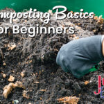 Composting Basics for Beginners
