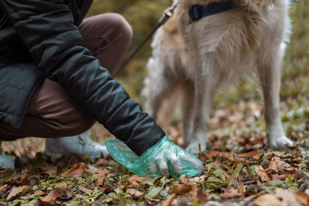 Woman picking up dog poop from the lawn