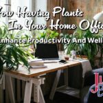 How having plants in your home office can enhance productivity and wellbeing