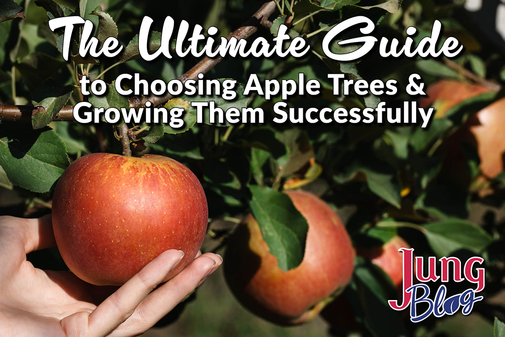 The Ultimate Guide to Choosing Apple Trees & Growing Them Successfully