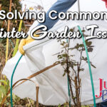 Solving Common Winter Garden Issues