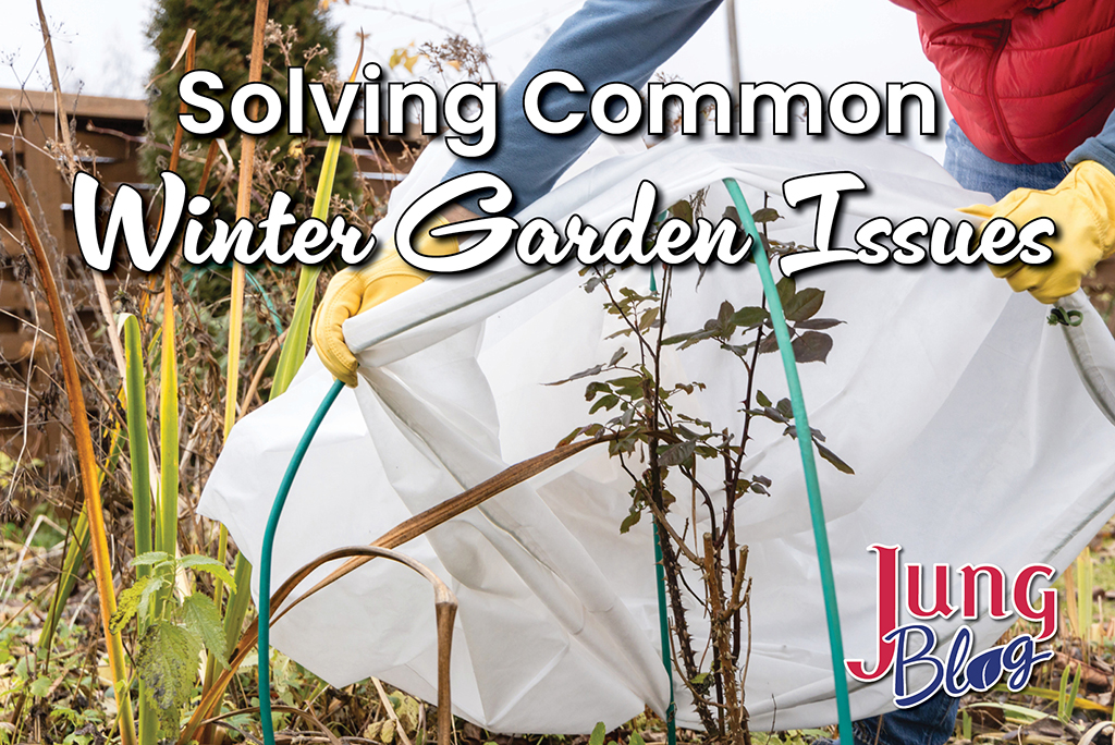 Solving Common Winter Garden Issues