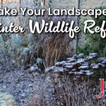 Make Your Landscape A Winter Wildlife Refuge Jung Seed Gardening Blog title