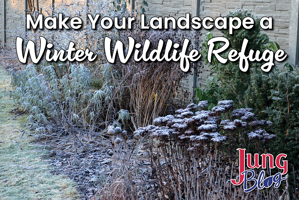 Make Your Landscape A Winter Wildlife Refuge