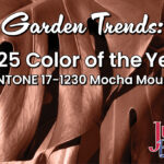 Color of the year blog