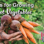 Tips for Growing Root Vegetables blog