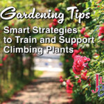 Vertical Gardening Tips blog article