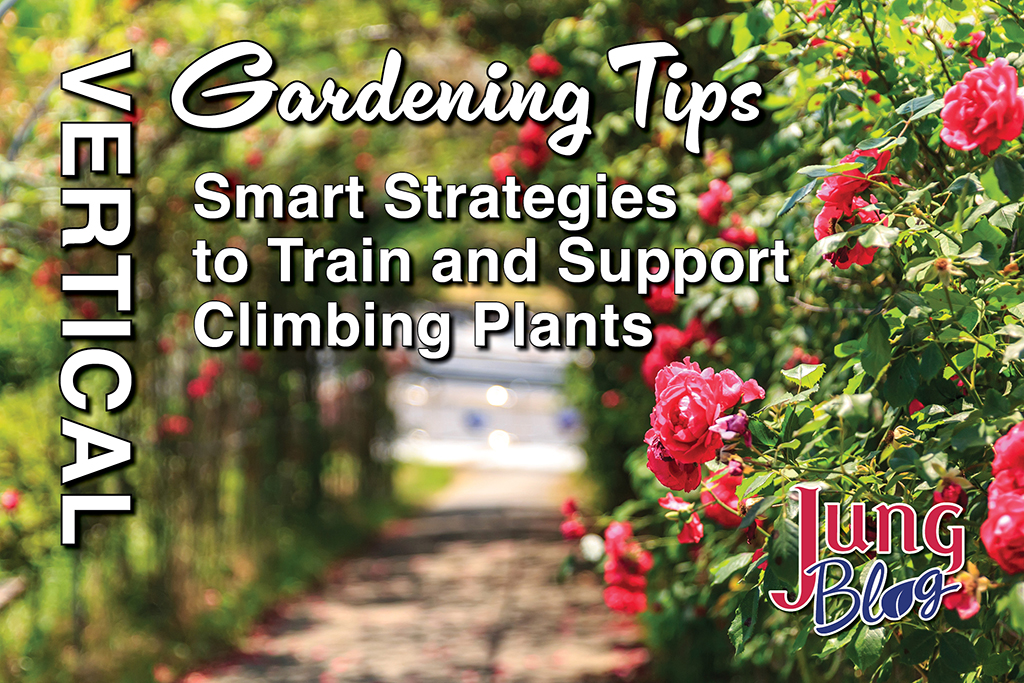 Vertical Gardening Tips: Smart Strategies To Train And Support Climbing Plants