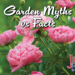 Garden Myths vs Facts blog