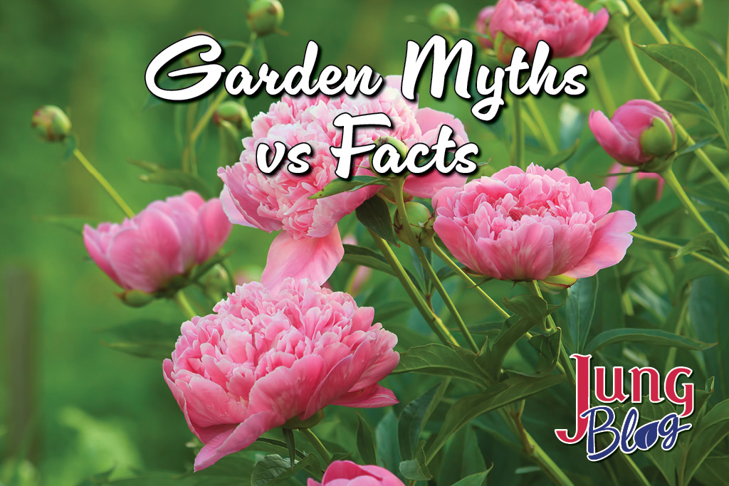 Garden Myths vs Facts blog