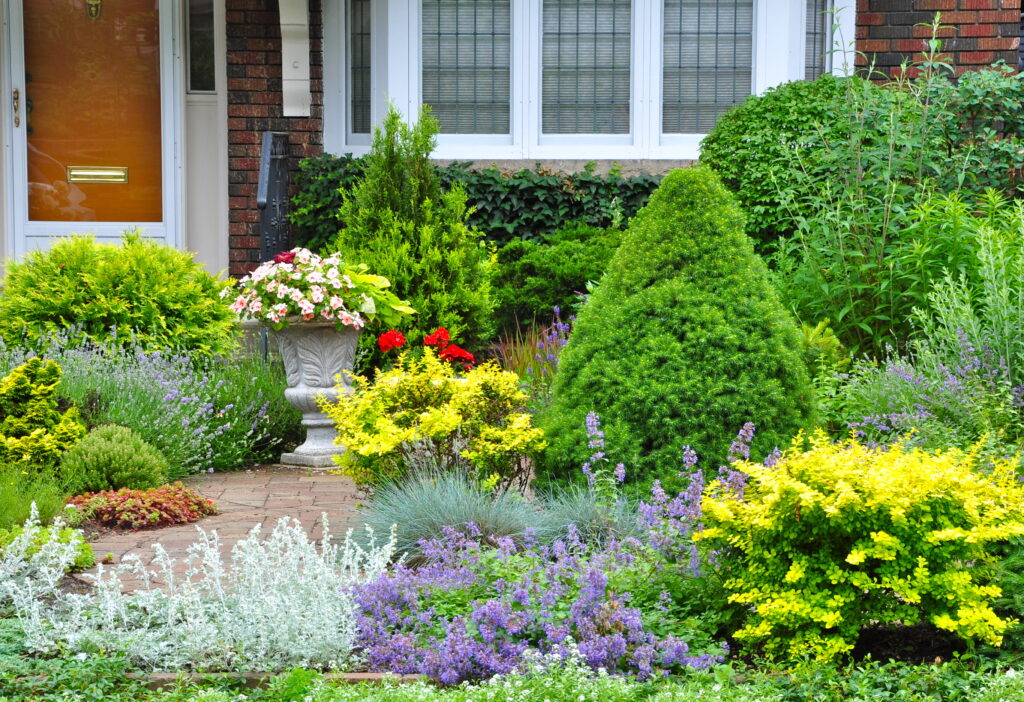 A front garden in summer filled with plants of varying colour and texture and no grass.