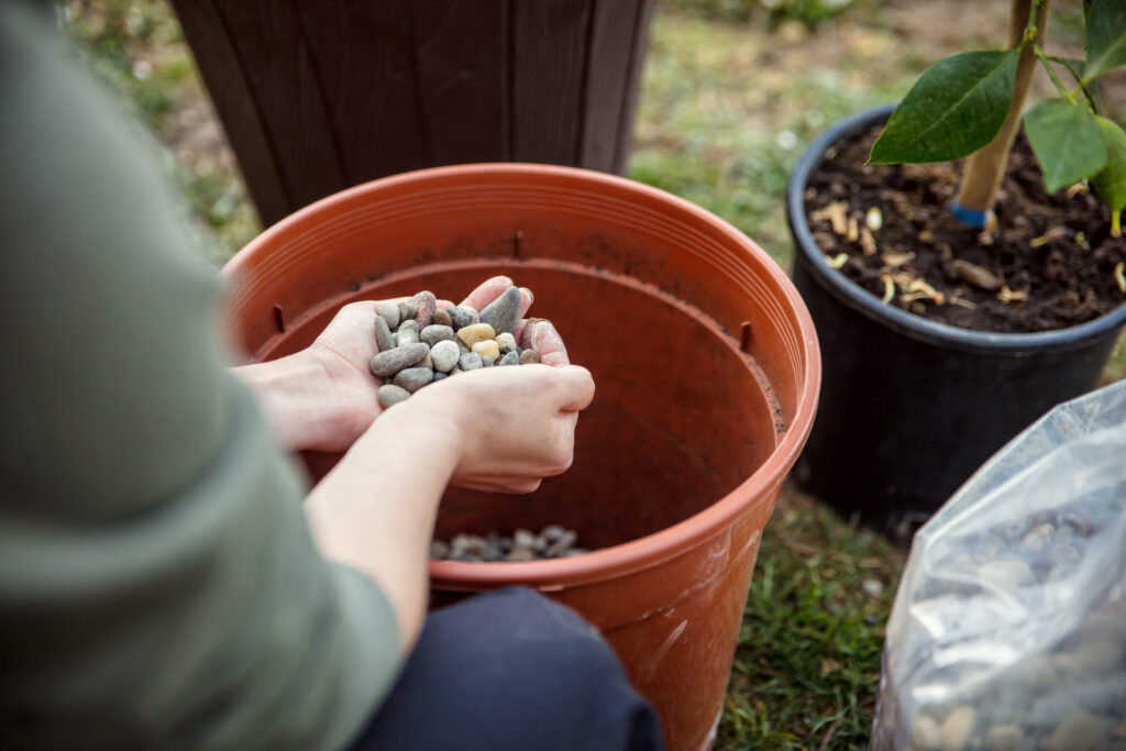 Woman putting rocks at the bottom of her pot before planting