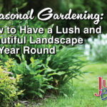 Seasonal Gardening: How to Have a Lush and Beautiful Landscape All Year Round