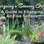 Designing a sensory garden blog